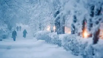 obk.kz, фото - Новости Zakon.kz от 13.11.2018 09:15