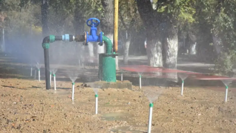 Продолжаются работы по формированию "зеленого пояса" вокруг Туркестана