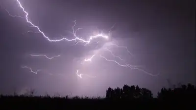 Pixabay, фото - Новости Zakon.kz от 21.05.2020 21:44