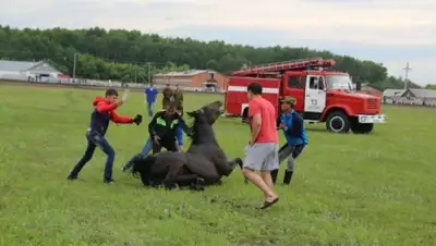 Zakon.kz, фото - Новости Zakon.kz от 18.06.2015 21:38