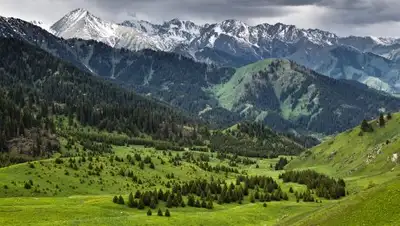 abctv.kz, фото - Новости Zakon.kz от 06.11.2018 14:21