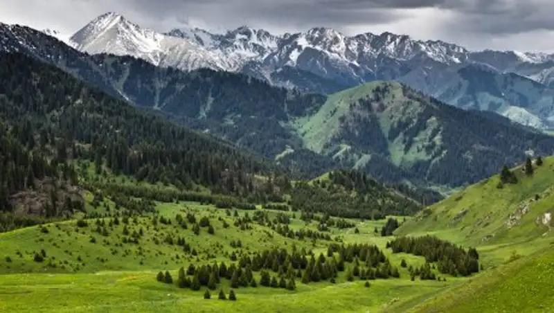 Пока мы тут думаем, новые курорты строят в Кыргызстане и Узбекистане - Калиев о Кок-Жайлау