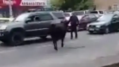 Zakon.kz, фото - Новости Zakon.kz от 03.10.2017 16:17