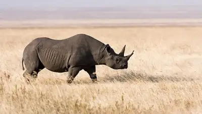 Zakon.kz, фото - Новости Zakon.kz от 25.02.2016 16:43