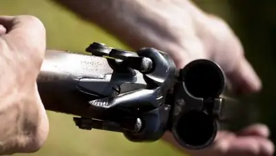 © flickr.com / Kecia Wolf, фото - Новости Zakon.kz от 18.02.2018 20:38