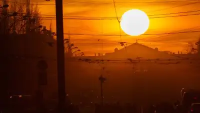 Zakon.kz, фото - Новости Zakon.kz от 24.07.2017 12:00