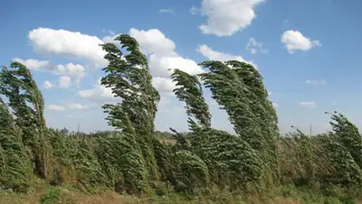 Zakon.kz, фото - Новости Zakon.kz от 23.07.2014 15:02