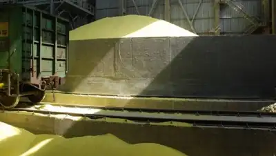 Zakon.kz, фото - Новости Zakon.kz от 29.05.2017 18:52