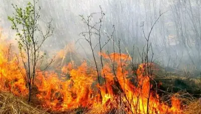 Zakon.kz, фото - Новости Zakon.kz от 22.06.2015 15:28