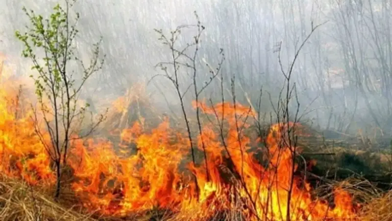 Площадь лесных пожаров в Забайкалье за выходные увеличилась в 40 раз