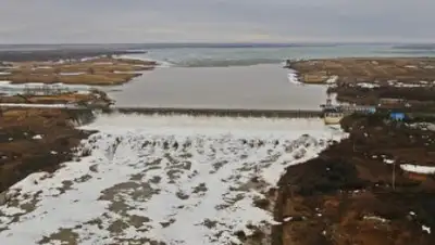 Zakon.kz, фото - Новости Zakon.kz от 06.04.2016 15:40