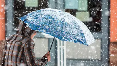 myslo.ru, фото - Новости Zakon.kz от 12.12.2019 09:14