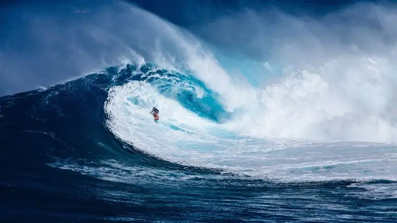 Четыре австралийских серфера провели 38 часов в открытом море