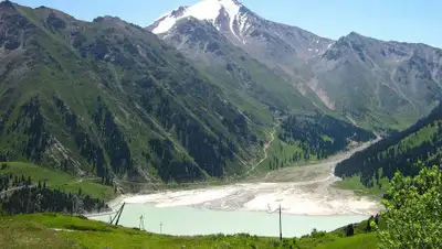 Википедия, фото - Новости Zakon.kz от 18.03.2020 23:29