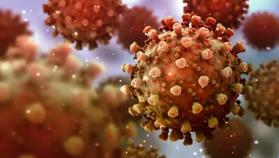 Elemental - Medium, фото - Новости Zakon.kz от 03.08.2020 01:07