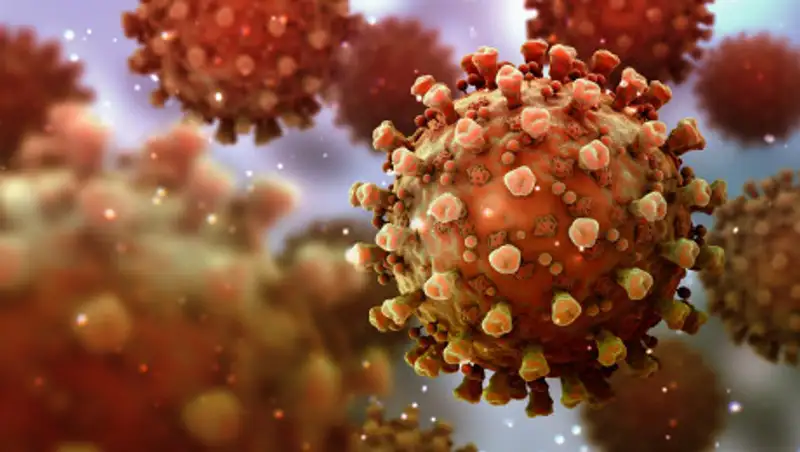 Ученые рассказали о мощной иммунной реакции на коронавирус