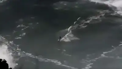 © Pedro Miranda, фото - Новости Zakon.kz от 13.11.2018 09:43