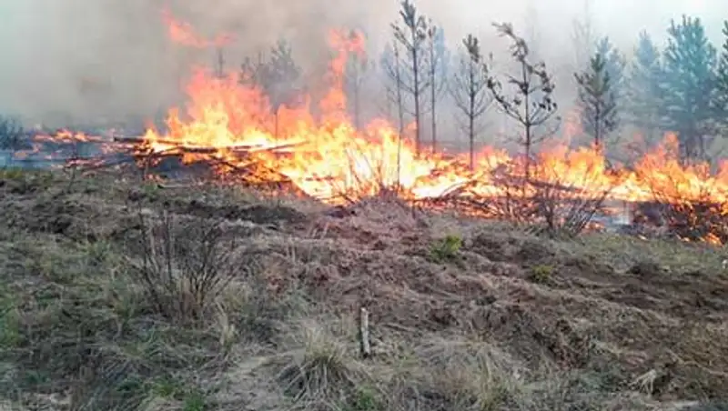 В Алматинской области сгорело 200 га сухостоя, фото - Новости Zakon.kz от 05.11.2013 15:23