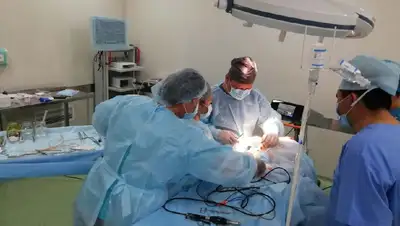 медики, фото - Новости Zakon.kz от 15.05.2022 09:48