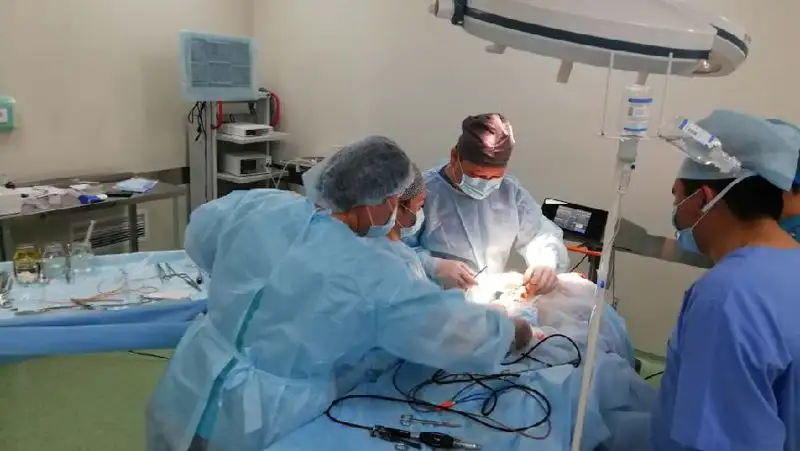 Референдум о новых правилах донорства человеческих органов готовят в Швейцарии