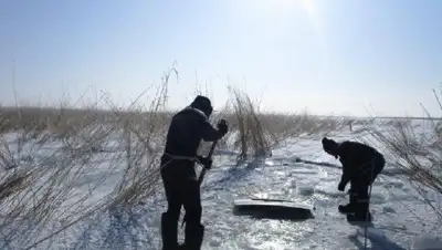 inform.kz, фото - Новости Zakon.kz от 19.02.2018 11:11