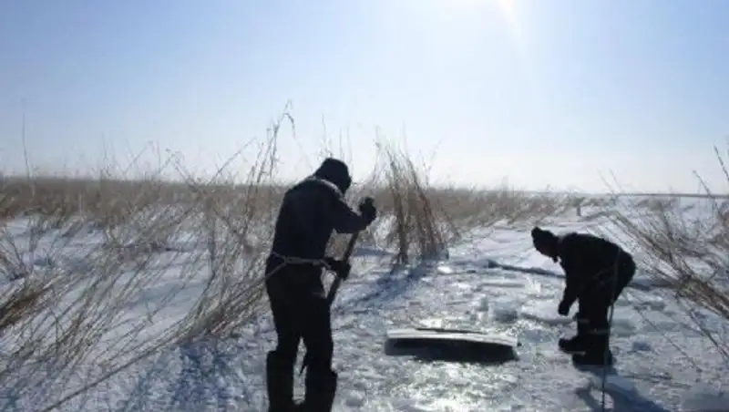 Трагедия на Бухтарминском водохранилище: автомобиль с водителем провалился под лед
