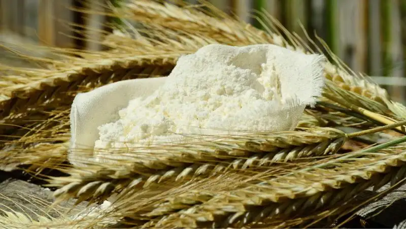 Квотирование экспорта зерна и муки в Казахстане могут отменить