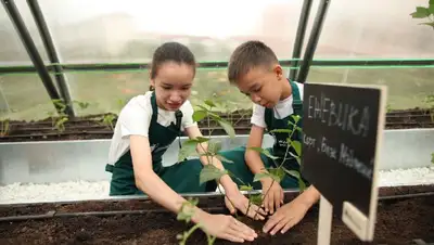 саженцы, растения, уход, фото - Новости Zakon.kz от 08.12.2021 14:01