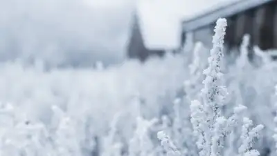 pxhere, фото - Новости Zakon.kz от 04.02.2020 06:08