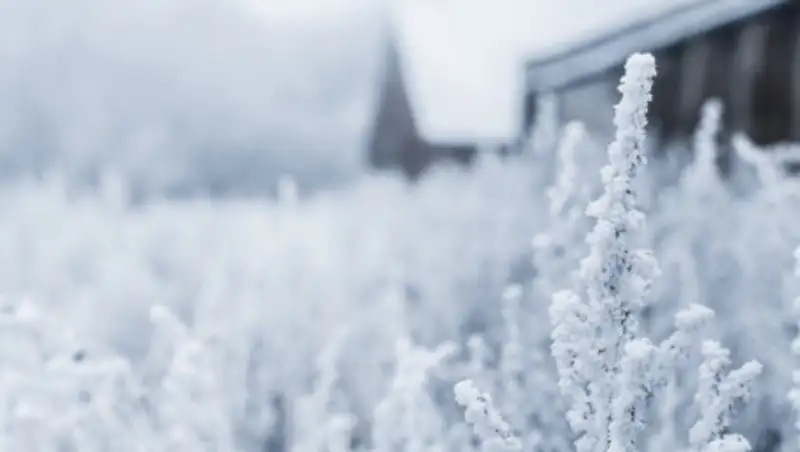 На севере Казахстана ожидается усиление ветра с метелью