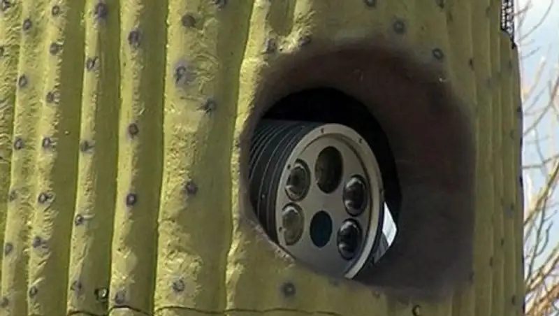 Осторожно: кактусы следят за вами!