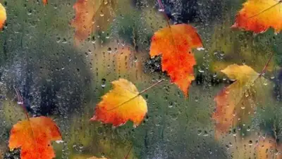 fabulae.ru, фото - Новости Zakon.kz от 13.10.2018 09:28