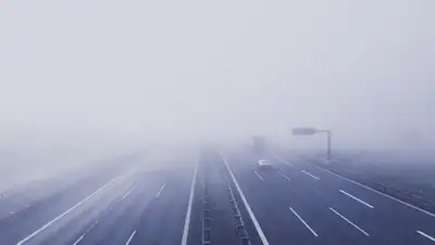 туман, дорога , фото - Новости Zakon.kz от 10.03.2022 15:47