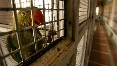 Zakon.kz, фото - Новости Zakon.kz от 28.02.2014 17:51