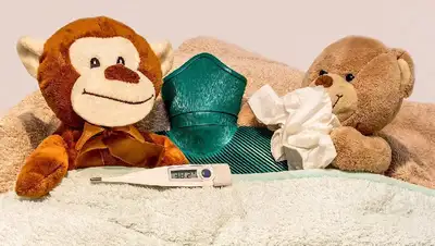 температура , фото - Новости Zakon.kz от 17.10.2022 00:23