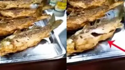 Zakon.kz, фото - Новости Zakon.kz от 09.01.2018 09:47