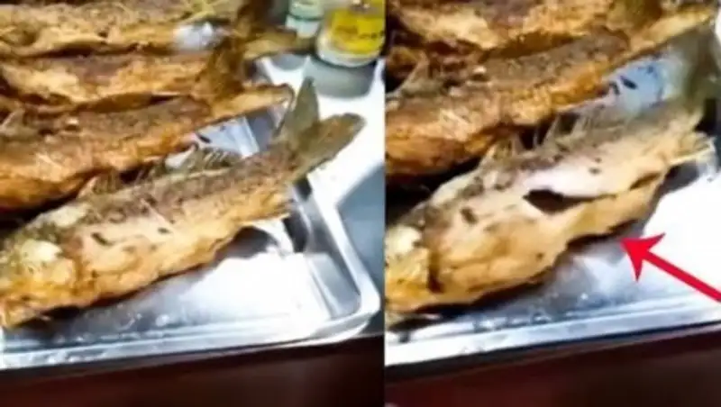 Видео с зажаренной "рыбой-зомби" вызвало споры в Сети