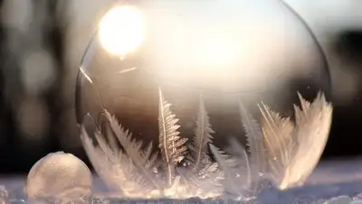 pixabay, фото - Новости Zakon.kz от 28.01.2019 08:32