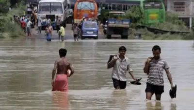 Daypic, фото - Новости Zakon.kz от 13.08.2018 14:08