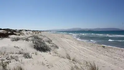 У берегов Туниса в результате кораблекрушения погибли пять мигрантов, фото - Новости Zakon.kz от 23.03.2023 13:00