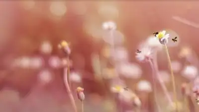 pixabay.com, фото - Новости Zakon.kz от 16.05.2021 16:25