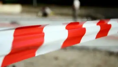 Из открытых источников, фото - Новости Zakon.kz от 19.02.2018 14:40