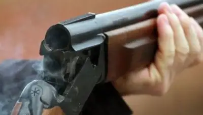 Zakon.kz, фото - Новости Zakon.kz от 03.11.2016 05:23