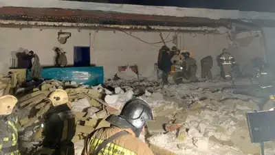 ГУ МЧС России по Новосибирской области, фото - Новости Zakon.kz от 02.02.2020 13:53