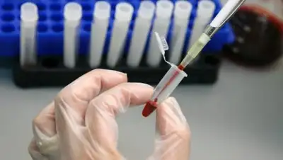 total.kz, фото - Новости Zakon.kz от 25.05.2018 16:56