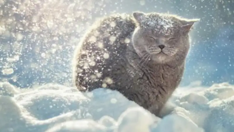 Снежное воскресенье ждет казахстанцев