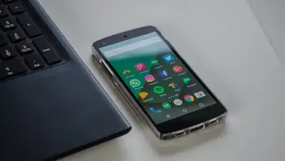 Pixabay, фото - Новости Zakon.kz от 08.06.2020 16:16