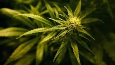 Zakon.kz, фото - Новости Zakon.kz от 22.02.2017 12:28