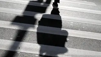 Алау, фото - Новости Zakon.kz от 26.07.2018 10:41