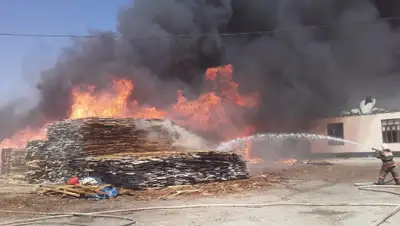 КЧС МВД РК, фото - Новости Zakon.kz от 17.06.2020 10:17